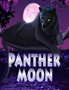 รีวิวเกม infinity 888 slot สนุกได้ทุกวัน